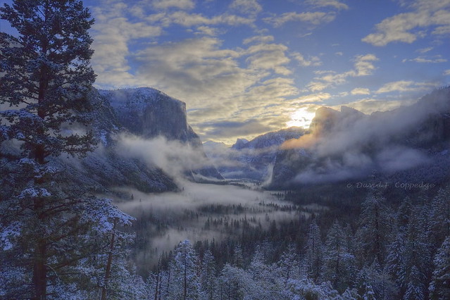 Snowy morning at Yosemite