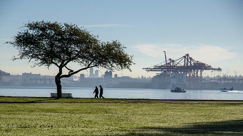 vancouver seawall stanleypark tree harbour gantry boats seaplane autumn fog grass water waterfront shipyard cityscape nikon d7000 dslr sky park bench canada britishcolumbia bc outdoor people walking