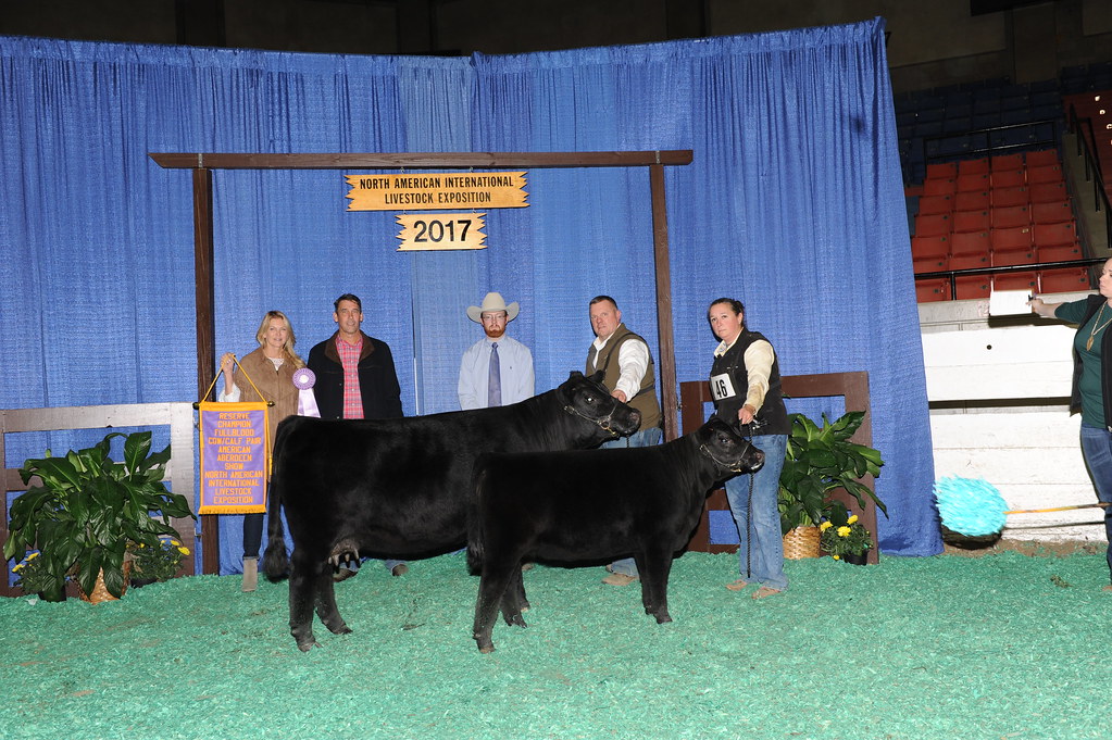 Reserve Grand Champion FB Cow/Calf - FCC TATIANA, JC Ranch, Malvern, AR