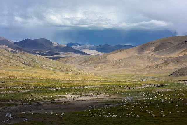 Nomads land, Tibet 2017