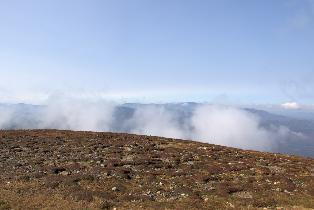 Mt Eisenhower Loop