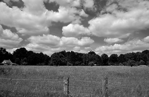einfarbig monochrome schwarzweiss landschaft landscape wense wolken clouds weide meadow himmel sky sw bw feld field
