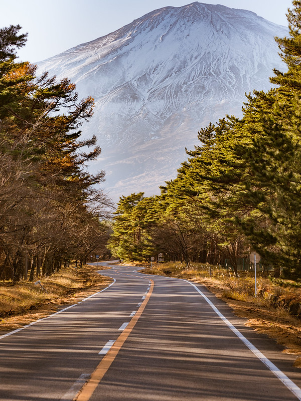 Fujisan｜富士山