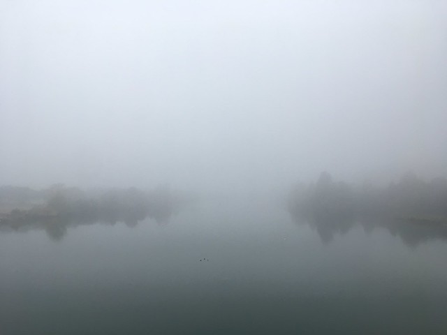 Fog Day
