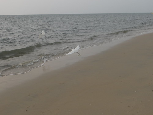 Strand Beach