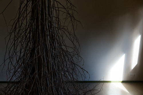 light shadow twigs sun room katajainenkansa mäntyharju art installation buildingtobedemolished suomi100 finland suomi pekkanikrus skrubu pni
