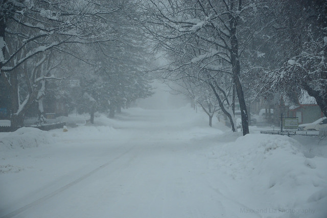 Quiet Afternoon Walk in a Flagstaff snowstorm