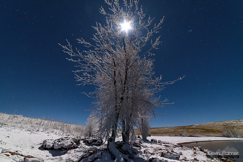 lakedesmet wyoming november fall autumn cold snow snowy frost frosty rimeice white night sky stars astrophotography astronomy blue clear moonlight moonlit moon nikond750 trees samyang rokinon14mmf28 starry