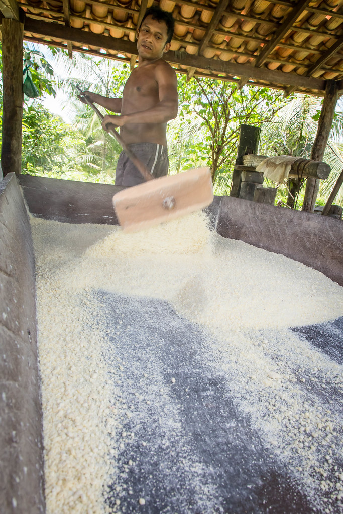 Smallholder - producing flour. Photo by Miguel Pinheiro/CIFOR cifor.org forestsnews.cifor.org...