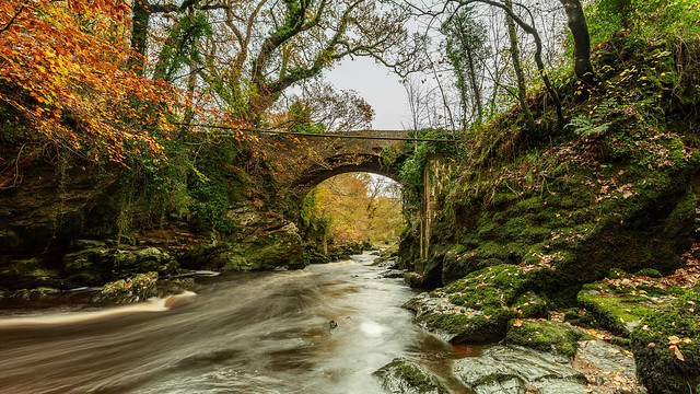 Green bridge in the Roe valley country park