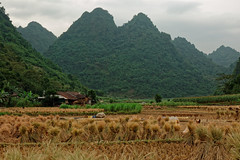 Cao-Bang-Vietnam-2016-66