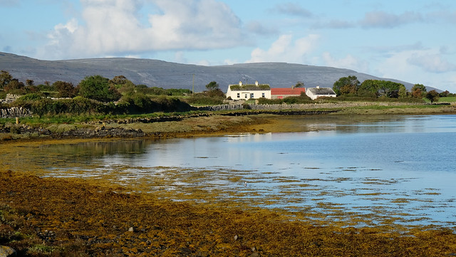 Irish Cottage From Across the Water