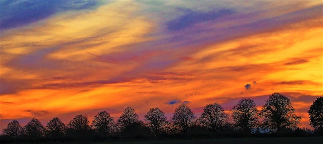 'Heavenly hue,' over tree lined avenue, at the close of sunset.