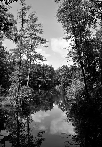 reflection spiegelung himmel sky clouds wolken trees einfarbig landscape blackwhite blackandwhite landschaft monochrome schwarzweiss bäume pond teich water wasser wense