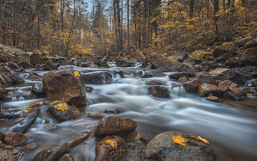 longexposure waterfall smooth woods leaves germany autumn outdoor valley ilse harz rocks ilsenburgharz sachsenanhalt deutschland de