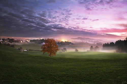 allgäu bayern germany opensourcesoftware gimp rawtherapee landscape autumn mist bluehour blauestunde pentaxian meadow