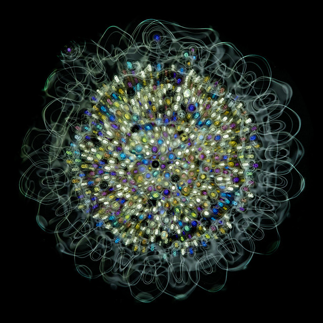 Cymatic flower