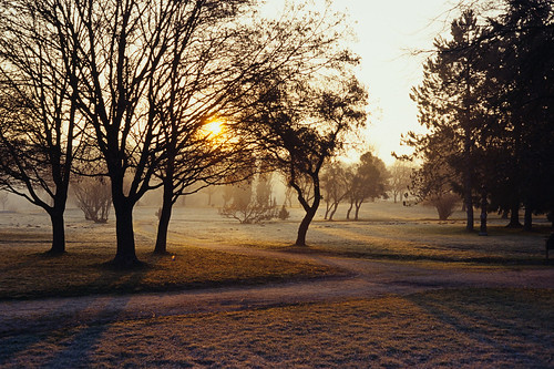 film filmphotography filmisnotdead minolta dynax 7 morning fog sunrise kodak ektachrome slide 35mm