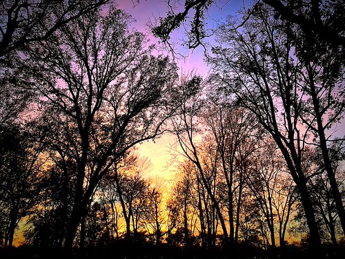 sunset by #KPbIM, 2017 fall october michigan sunset light color royaloak park evening starr jaycee