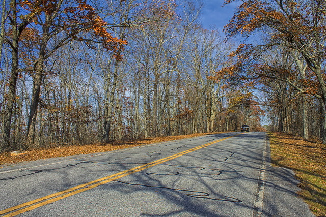 Road to FDR State Park