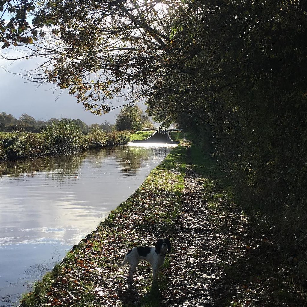 It's so beautiful. #llangollencanal #shropshireunion #cana…  Flickr