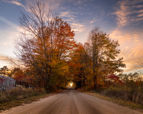 canoneos5dmarkiv ef24105mmf4lisusm colortunnel backroad fall autumn trees gravel gravelroad west sunset atardecer puestadelsol uphill wideangle 4x5 8x10 october 2017 michigan cadillac mi upnorth