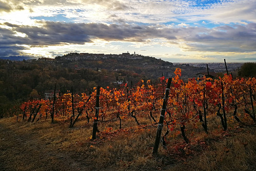 Tramonto su dopo la grande siccità... by claudio g, 2017-11-05 16.36.06
more on instagram @claudio82cloduawey p10 tramonto sunset sky nuvole temporale