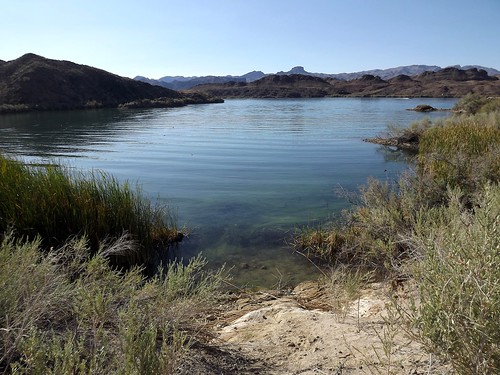 2017 arizona desert hiking lakehavasucity wash mockingbirdwash lake lakehavasu