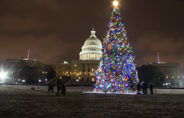 Capitol and Holiday Tree 9 Dec 2017  (10)