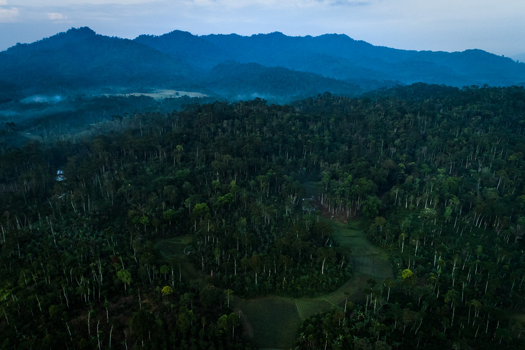 Aerial views of Tribudi Syukur Village, West Lampung Regency. Lampung.