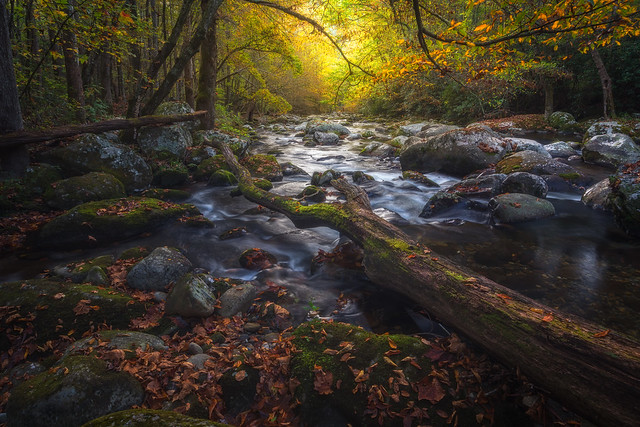 Great Smoky Mountains, Fall along Big Creek
