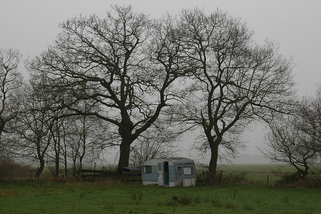 Trees & caravan in Drenthe