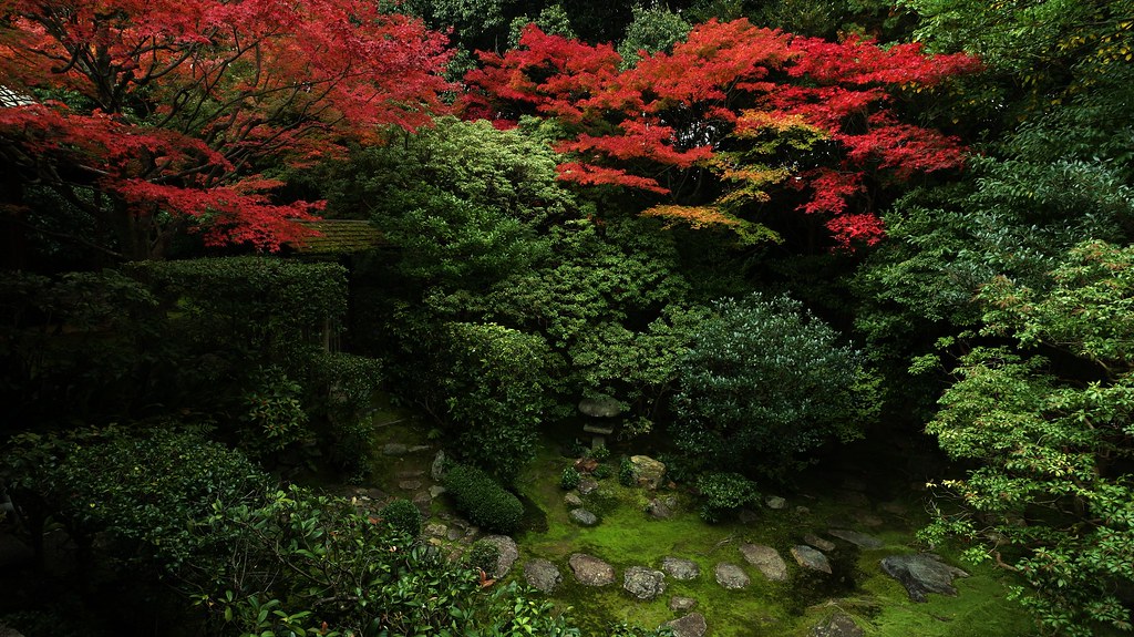 Two Colours -  Zen Fairyland/ Kyoto Myoshin-ji Keisyunin　京都 妙心寺 桂春院