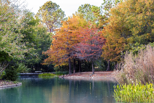 Fall Colors In Houston – How To Incorporate The Luscious Fall Colors In ...