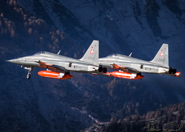 patrol of Swiss Air Force Northrop F-5E Tiger II / J-3044 J-3093