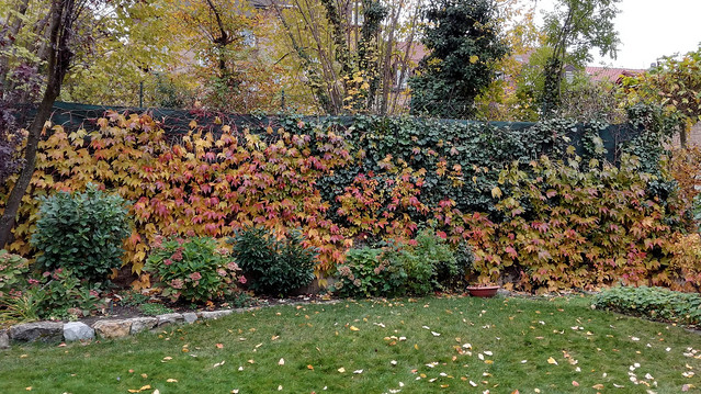 Vorgarten und Garten im November
