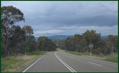 victoria australia swanpooltoeildon roadside scenery