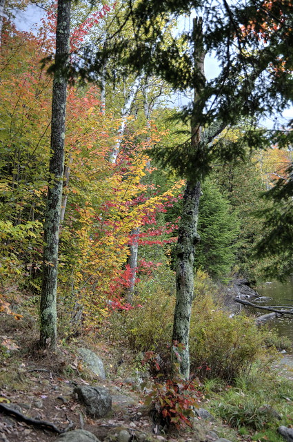 Fall Color: Up and Down in the Adirondacks