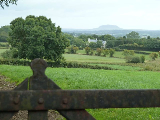 Slemish from New Rd, Ahoghill, Co Antrim.