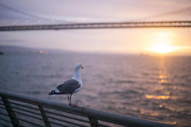 San Francisco sunrise
