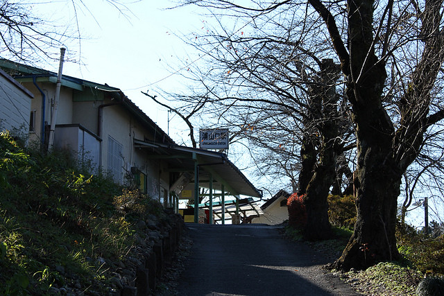 20111126_武甲山_0002_15