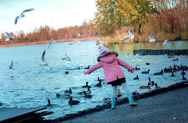 2017-11-19 Rieulay (41)little girl and birds