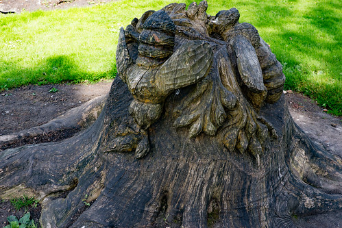TREES RECYCLED AFTER STORM DARWIN [PEOPLES PARK LIMERICK]-… | Flickr