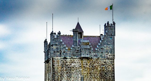 Tower of Claregalway Castle, Mayo Galway Ireland 19