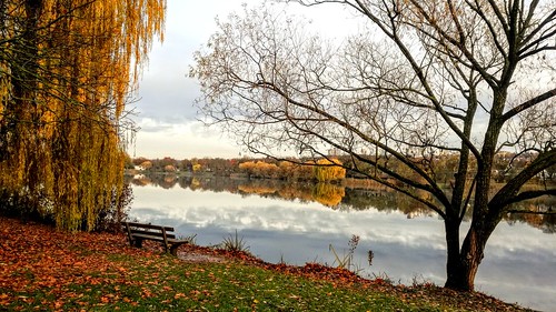 fall autumn nature view landscape lake trees leaves colors light reflection evening mood outdoors bench calm relax relaxation maxeythsee stuttgart badenwürttemberg germany europe travel season water smartphone photography
