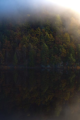 norway austagder gjerstad gjerstadvannet mirror lake trees autumn landscape nature