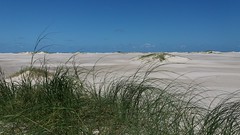 Mini dunas