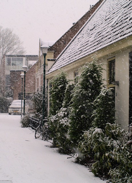 Winter in Hilversum