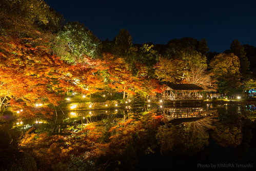 名古屋市 愛知県 日本 jp 名古屋 nagoya 紅葉 autumnleaves 夜景 nightshot 反射 reflection 秋 autumn japan