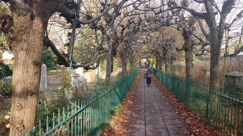 Clifton